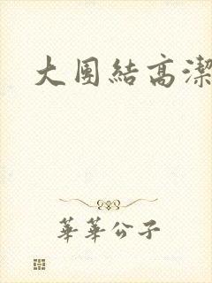 大团结高洁封面