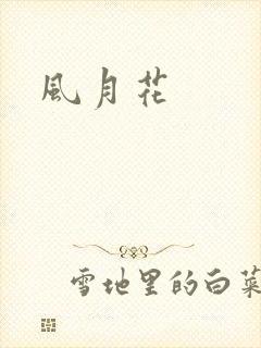风月花封面