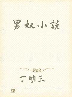男奴小说