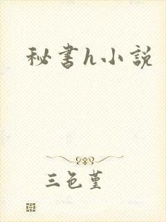 秘书h小说