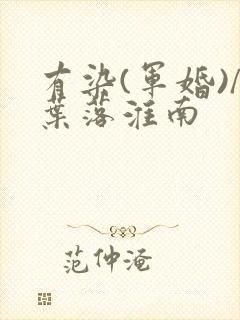 有染(军婚)/叶落淮南