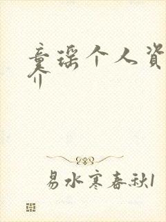 童瑶个人资料简介