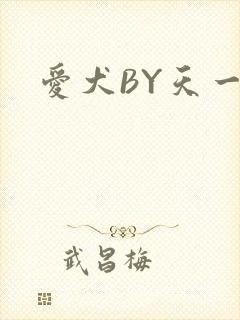 爱犬BY天一