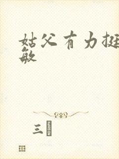 姑父有力挺送赵敏封面