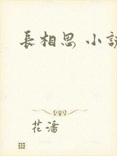 长相思 小说