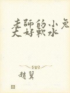 老师的小兔子好大好软水封面