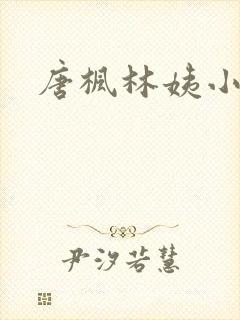唐枫林姨小说