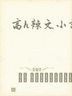 高h辣文小说封面