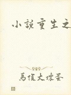 小说重生之官道