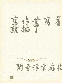 写作业写着写着就插了