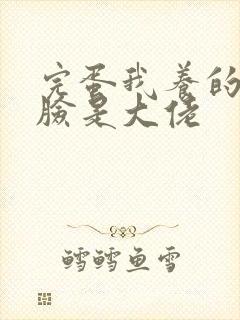 完蛋我养的小白脸是大佬封面