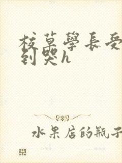 校草学长受被做到哭h