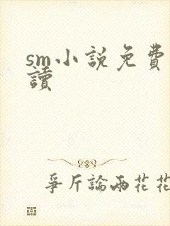 sm小说免费阅读
