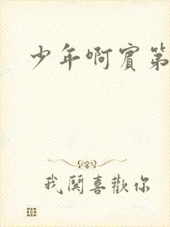 少年啊宾第二部