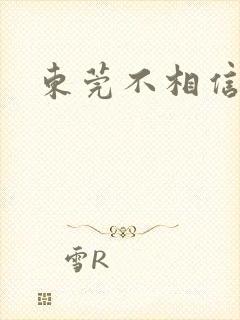 东莞不相信眼泪