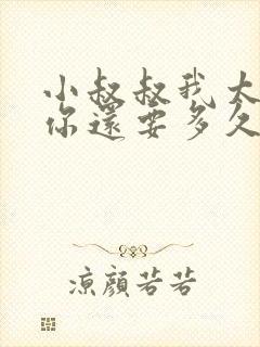 小叔叔我太累了你还要多久封面