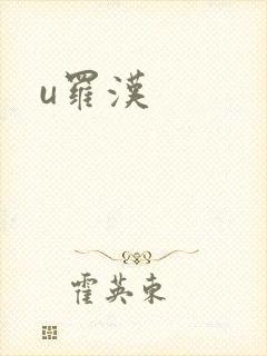 u罗汉封面