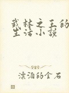 武林之王的退隐生活小说