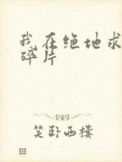 我在绝地求生捡碎片