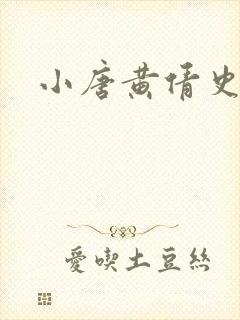 小唐黄倩史