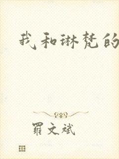 我和琳梵的故事封面