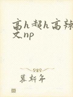 高h超h高辣h文np