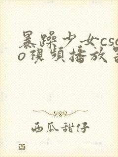 暴躁少女csgo视频播放器推荐