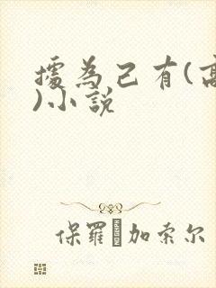 据为己有(高干)小说封面