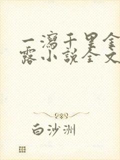 一泻千里金银花露小说全文免费阅读