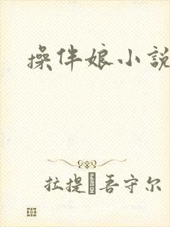 操伴娘小说封面