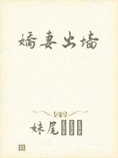 娇妻出墙封面