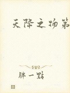 天降之物第一季