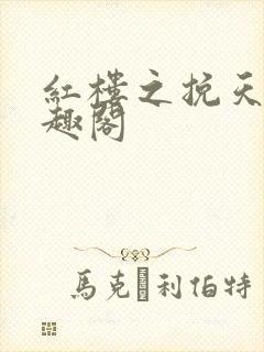 红楼之挽天倾笔趣阁封面