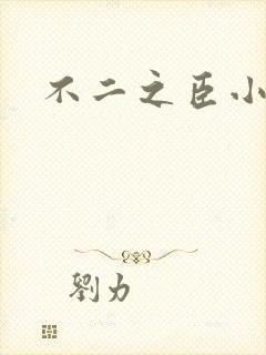 不二之臣小说封面