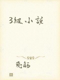 3级小说