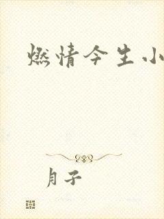 燃情今生小说封面