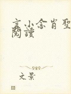 言小念肖圣免费阅读封面