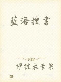 蓝海搜书封面