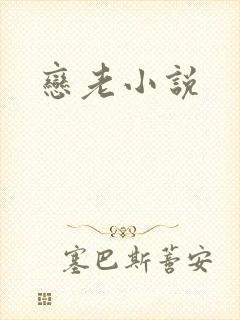恋老小说封面