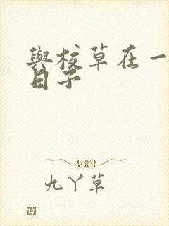 与校草在一起的日子