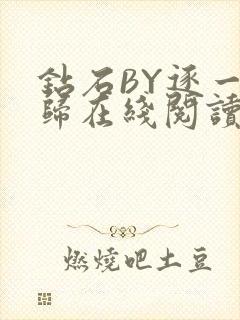 钻石BY逐一而归在线阅读