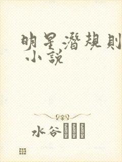 明星潜规则之皇 小说