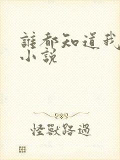 谁都知道我爱你小说