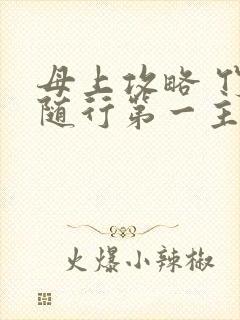 母上攻略 竹影随行第一主板