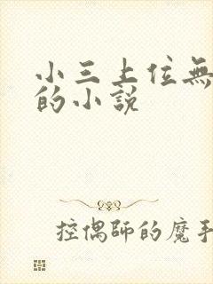 小三上位无三观的小说封面