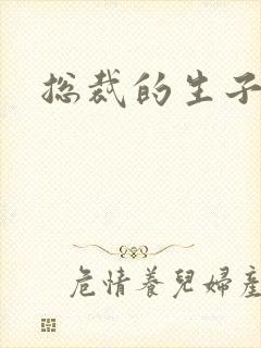 总裁的生子情人封面