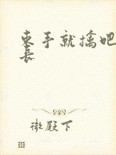 束手就擒吧韩队长