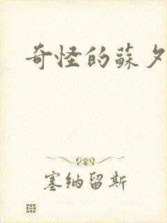 奇怪的苏夕封面