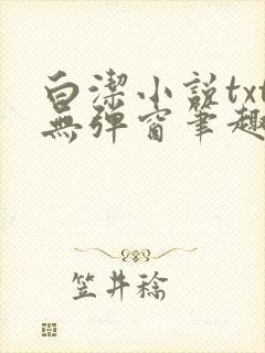 白洁小说txt无弹窗笔趣阁