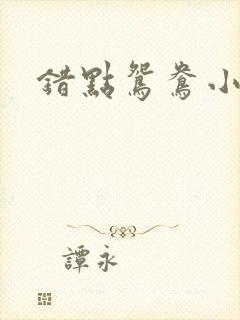 错点鸳鸯小说封面